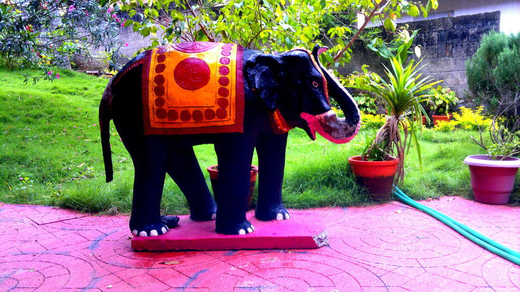 Ganesh House Homestay Kovalam Esterno foto