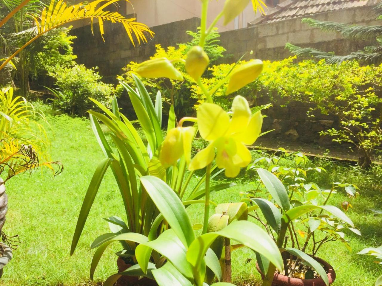 Ganesh House Homestay Kovalam Esterno foto